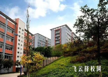 綿竹市職業中專學校2024招生簡章