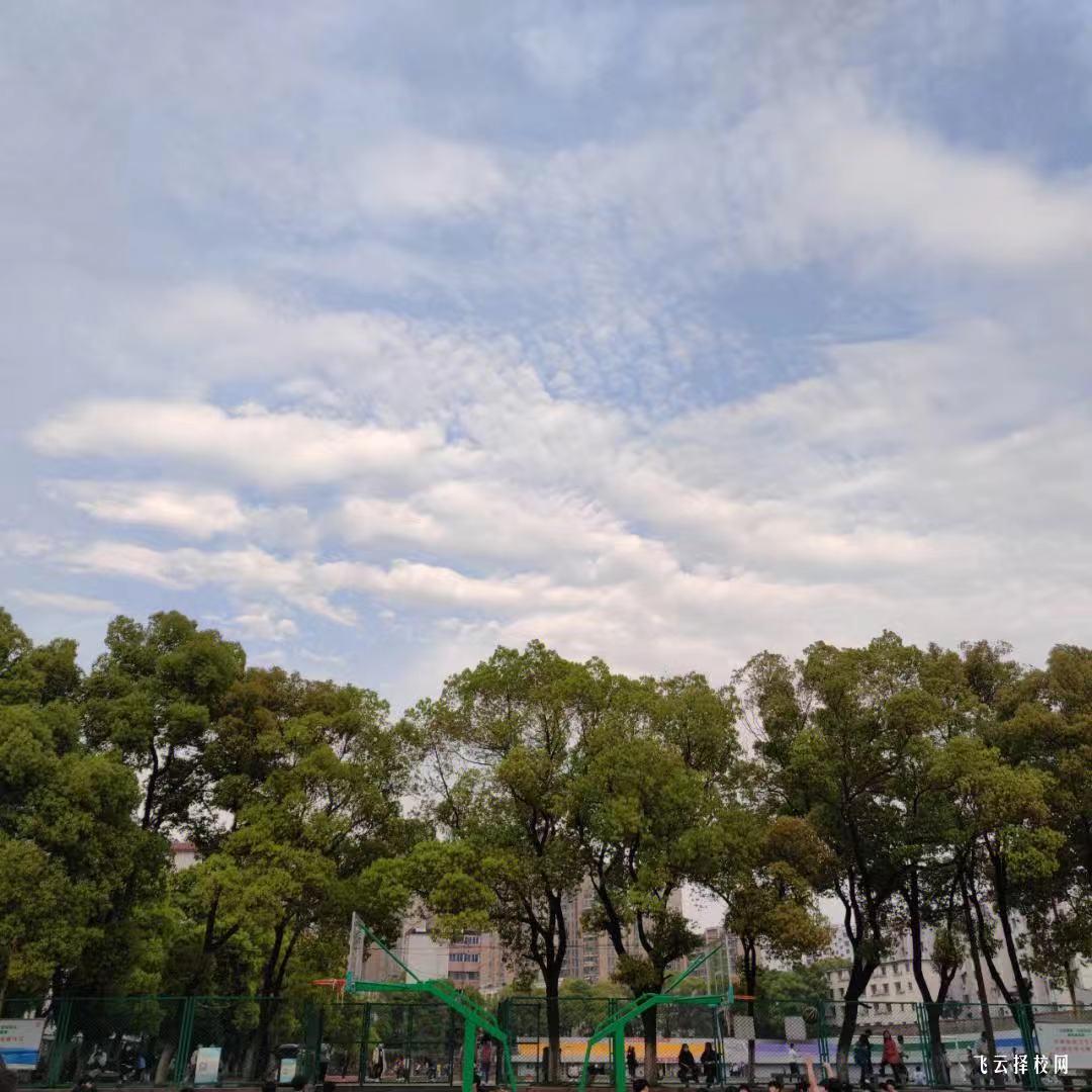 德昌縣職業高級中學2024招生簡章