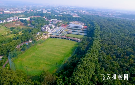 成都市體育運動學校2024招生簡章