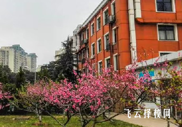 成都市現(xiàn)代職業(yè)技術(shù)學(xué)校2024招生簡(jiǎn)章