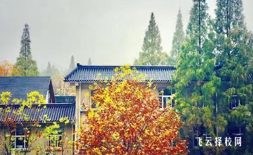 成都市新津區(qū)技工學校2024招生簡章