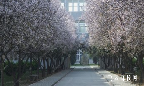 四川鐵道職業學院2024招生簡章