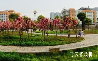 四川托普計算機職業學校2024招生簡章