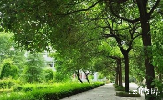 四川音樂學(xué)院附屬中等藝術(shù)學(xué)校2024招生簡章