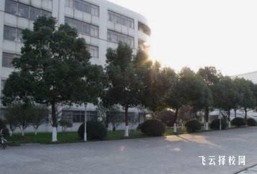 高中階段以什么課程為主