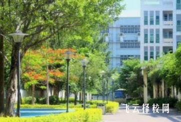 高中女生可以學什么