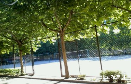 高中體育生有什么好處