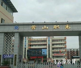 四川省營山職業(yè)高級中學(xué)在哪里怎么去