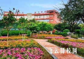 成都市文化藝術學校多少分可以讀