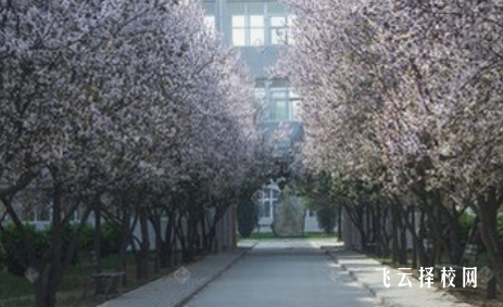 廣安市機(jī)電工業(yè)職業(yè)學(xué)校多少分可以讀