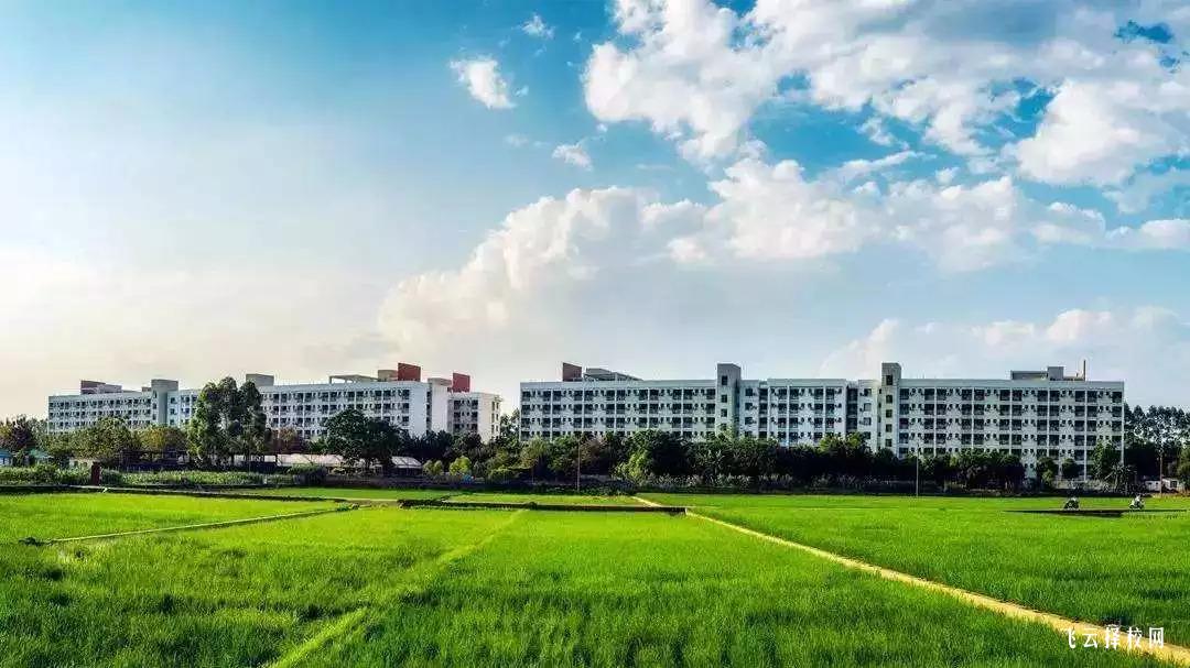 成都市文化藝術學校是職高還是技校