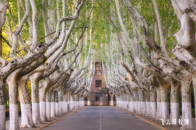 成都市中和職業中學是職高還是技校