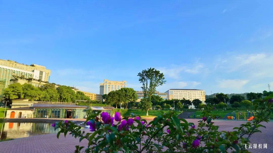 四川省平昌縣職業(yè)中學(xué)是職高還是技校