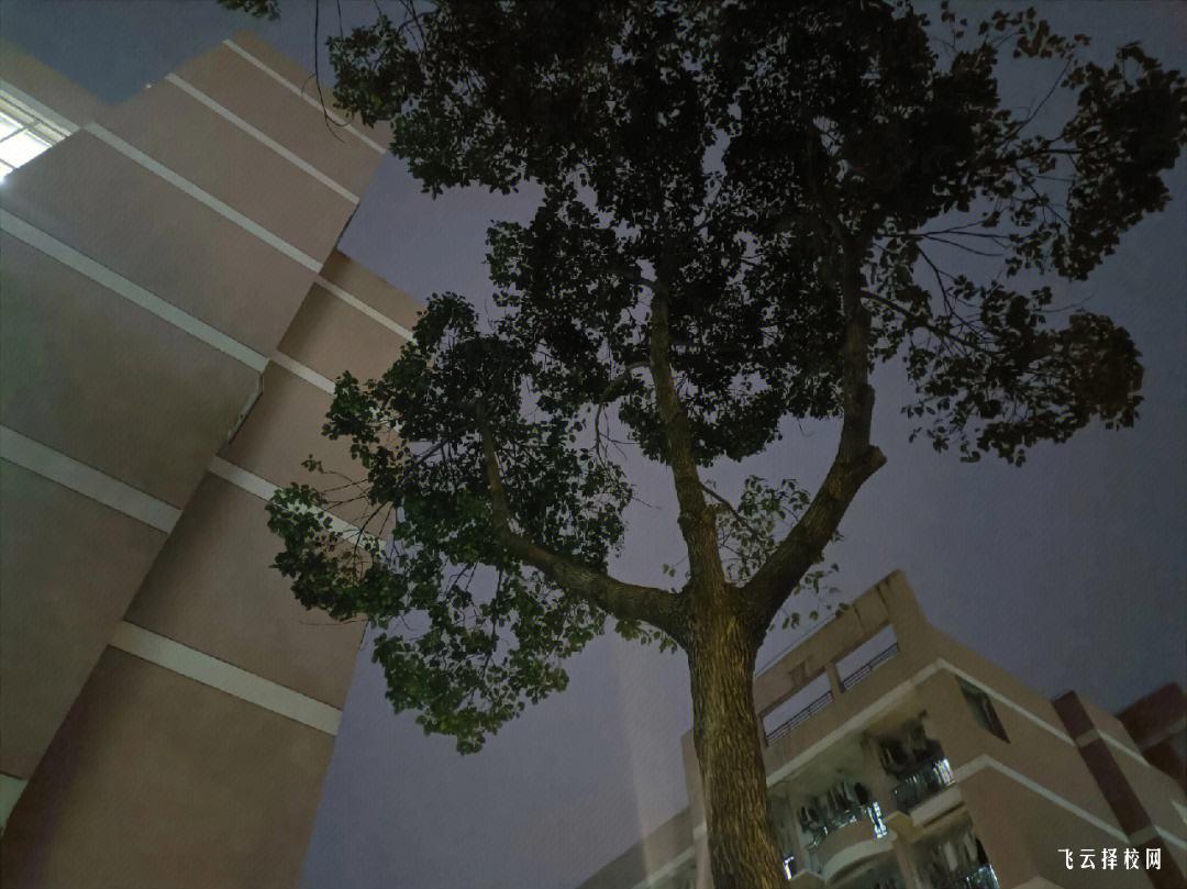 四川省體育運動學校是職高還是技校