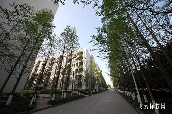 四川省敘永縣職業(yè)高級中學(xué)是職高還是技校