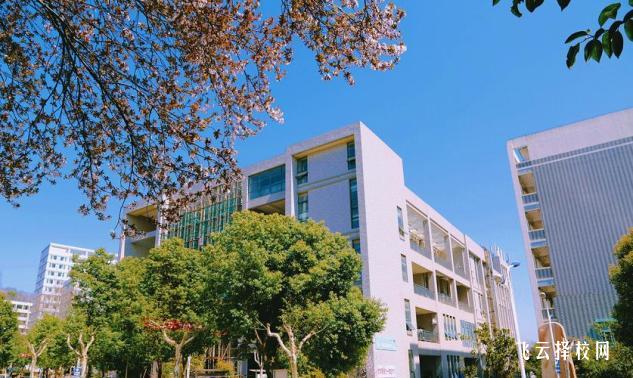 四川省儀隴縣職業高級中學是職高還是技校