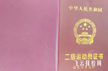 高中體育生二級(jí)運(yùn)動(dòng)員什么標(biāo)準(zhǔn)