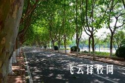 樂山嘉州衛(wèi)校怎么樣,中專招生條件是什么