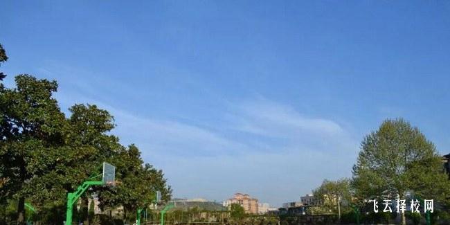 柳嘉職校怎么樣,中專招生條件是什么