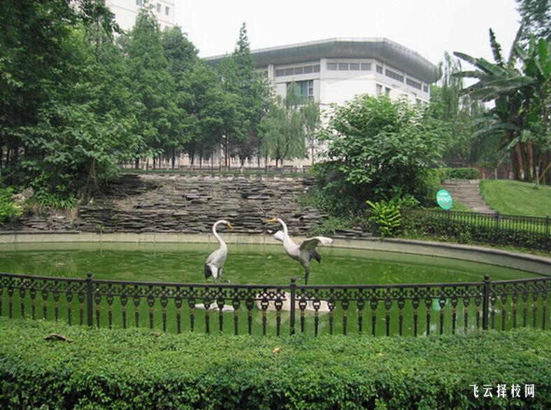 眉山東星航空中專校怎么樣,中專招生條件是什么