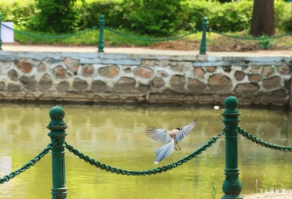 四川育英醫科校是公辦嗎