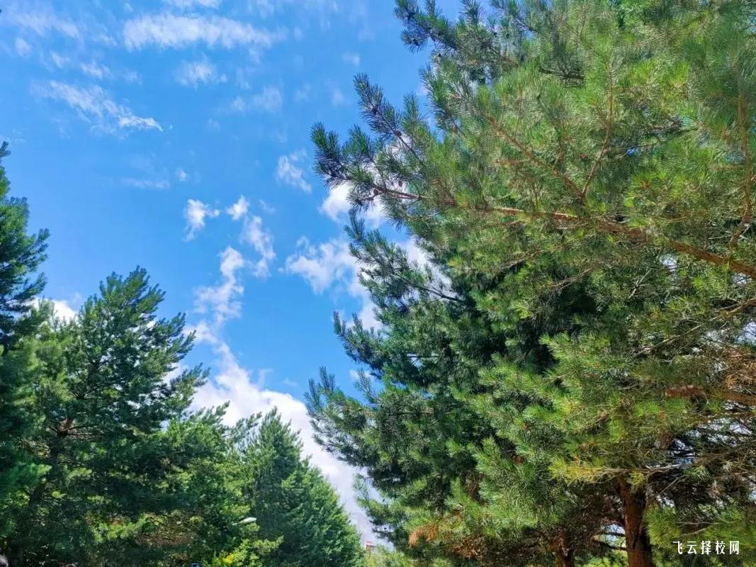 四川青神中職校是公辦嗎