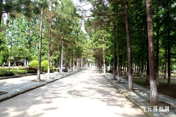 四川達百職校是公辦嗎,學校好不好