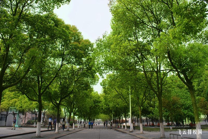 閬中江南職中是公辦嗎