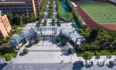 自貢五中有什么專業,中考錄取分數多少