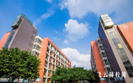 自貢板倉職高有什么專業,中考錄取分數多少