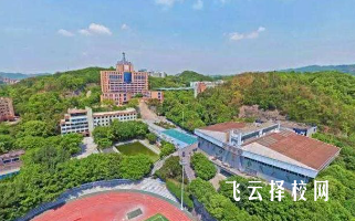 興文職校有什么專業,中考錄取分數多少