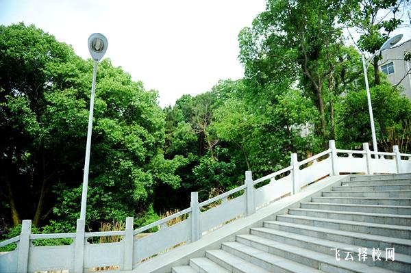 南充高坪職中有什么專業,中考錄取分數多少