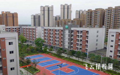 成都華商理工有什么專業,中考錄取分數多少