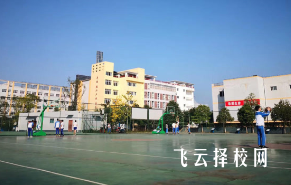 蒼溪職中有什么專業,中考錄取分數多少