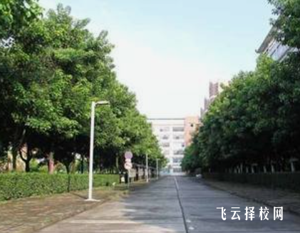 沐川職中怎么收費(fèi),一年學(xué)費(fèi)多少