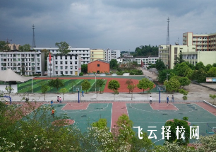 柳嘉職校在哪里,中專報名怎樣聯(lián)系