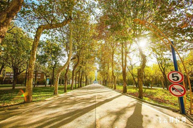 四川城市技師學院在哪里,中專報名怎樣聯系