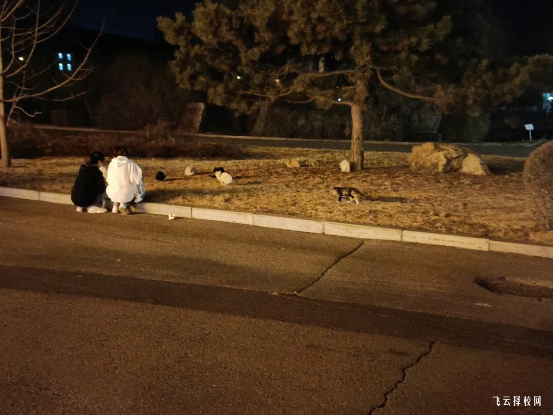 四川省江安職校在哪里,中專報名怎樣聯系