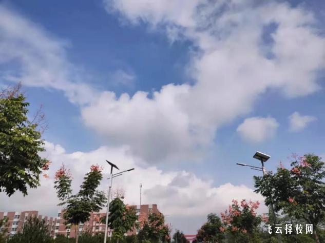 古藺職高有升學班嗎,讀中專怎樣選班