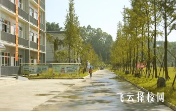 樂山嘉州衛校有升學班嗎,讀中專怎樣選班