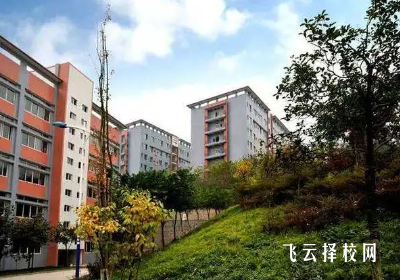 綿竹職中有升學(xué)班嗎,讀中專怎樣選班