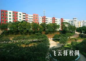 射洪職中有升學班嗎,讀中專怎樣選班