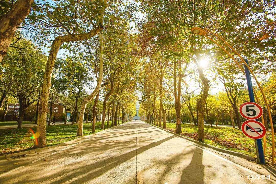 四川大英職校有升學班嗎,讀中專怎樣選班