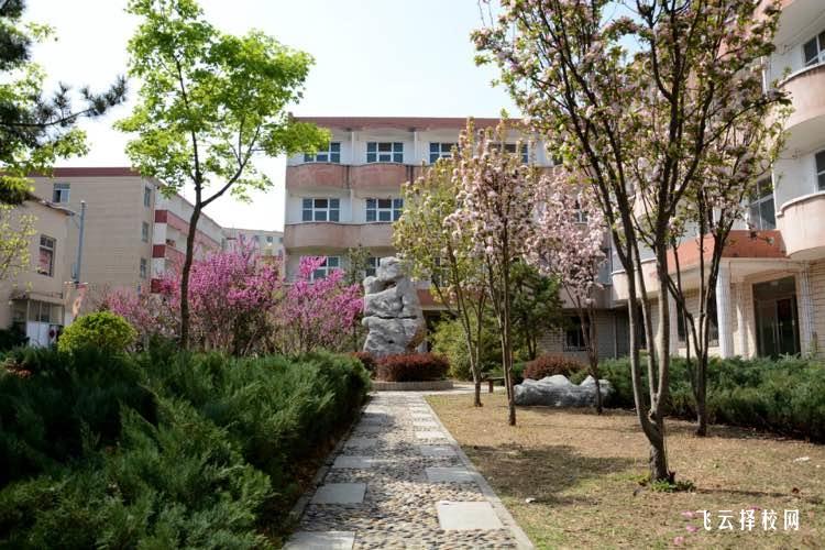 四川青神中職校有升學班嗎,讀中專怎樣選班