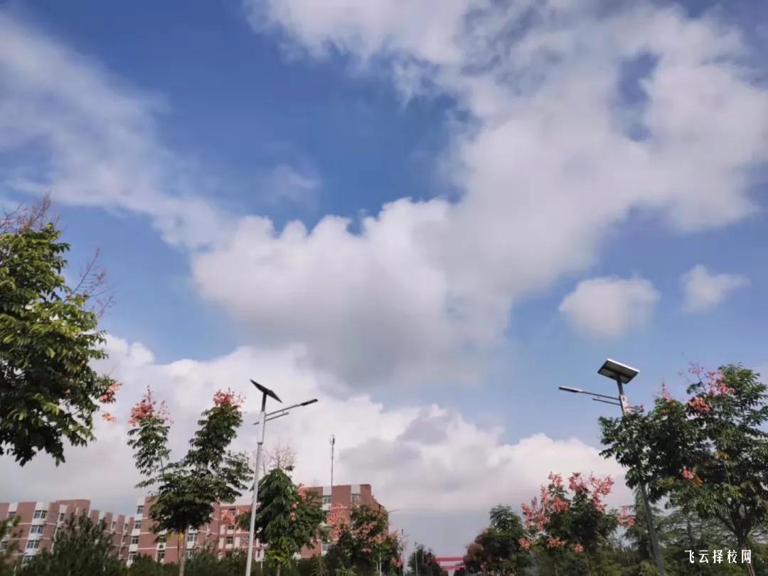 梓潼七一職中有升學班嗎,讀中專怎樣選班