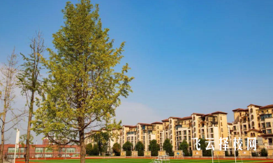 成都市宏德學校升學率高嗎,怎么進