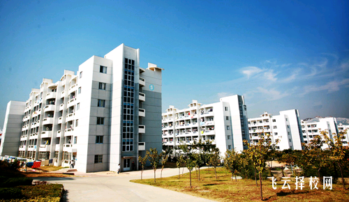 友愛職業技術學校招生簡章