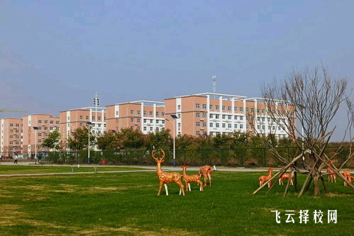 上中專好還是職高好