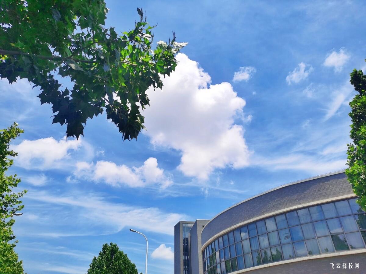 青白江鴻鵠學校一年學費多少