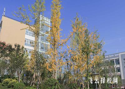 眉山藥科職業學院有哪些專業